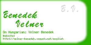 benedek velner business card